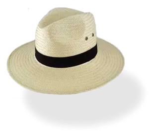 Avenel PaperBraid Wide Brim