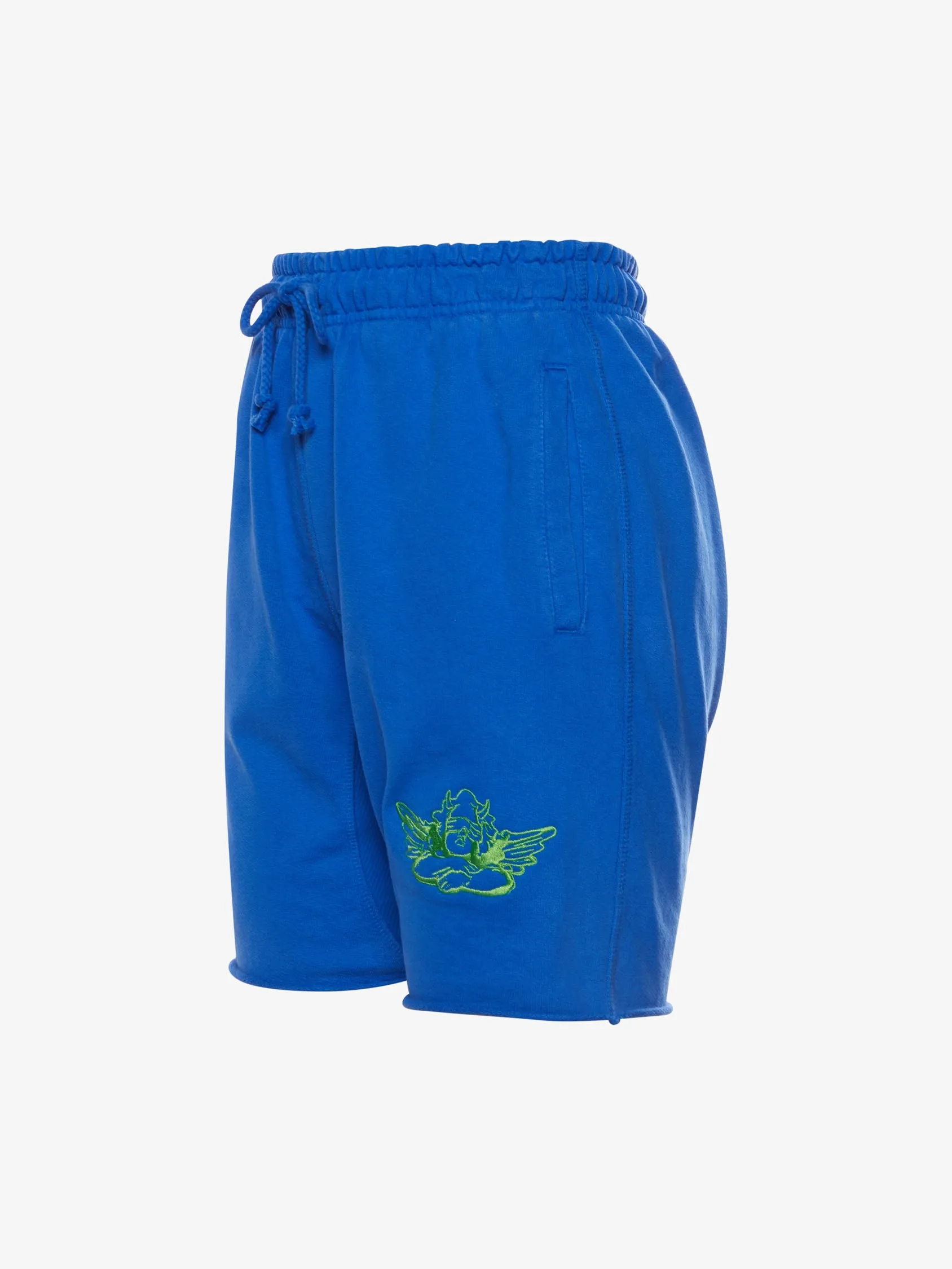 Classic V3 Shorts