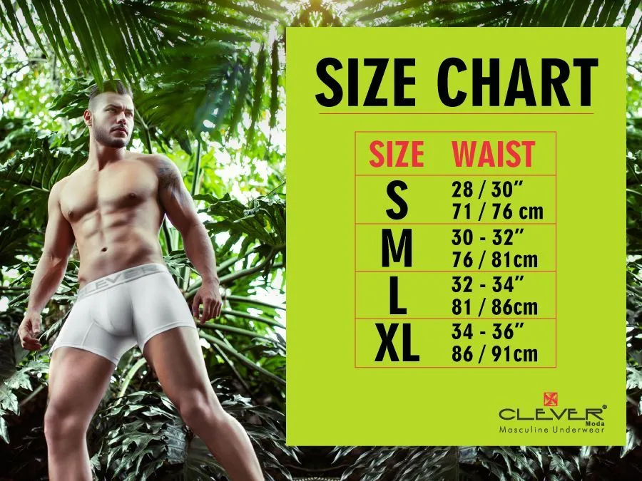 Clever Adriel Swim Trunks