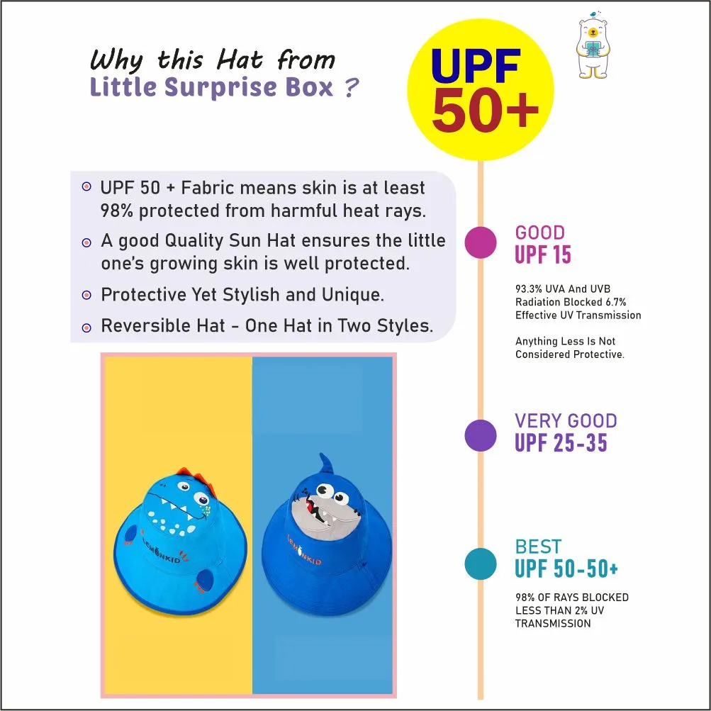 Little Surprise Box Blue Dual Side Reversible Sun Hat with UPF50  for Toddlers& Kids
