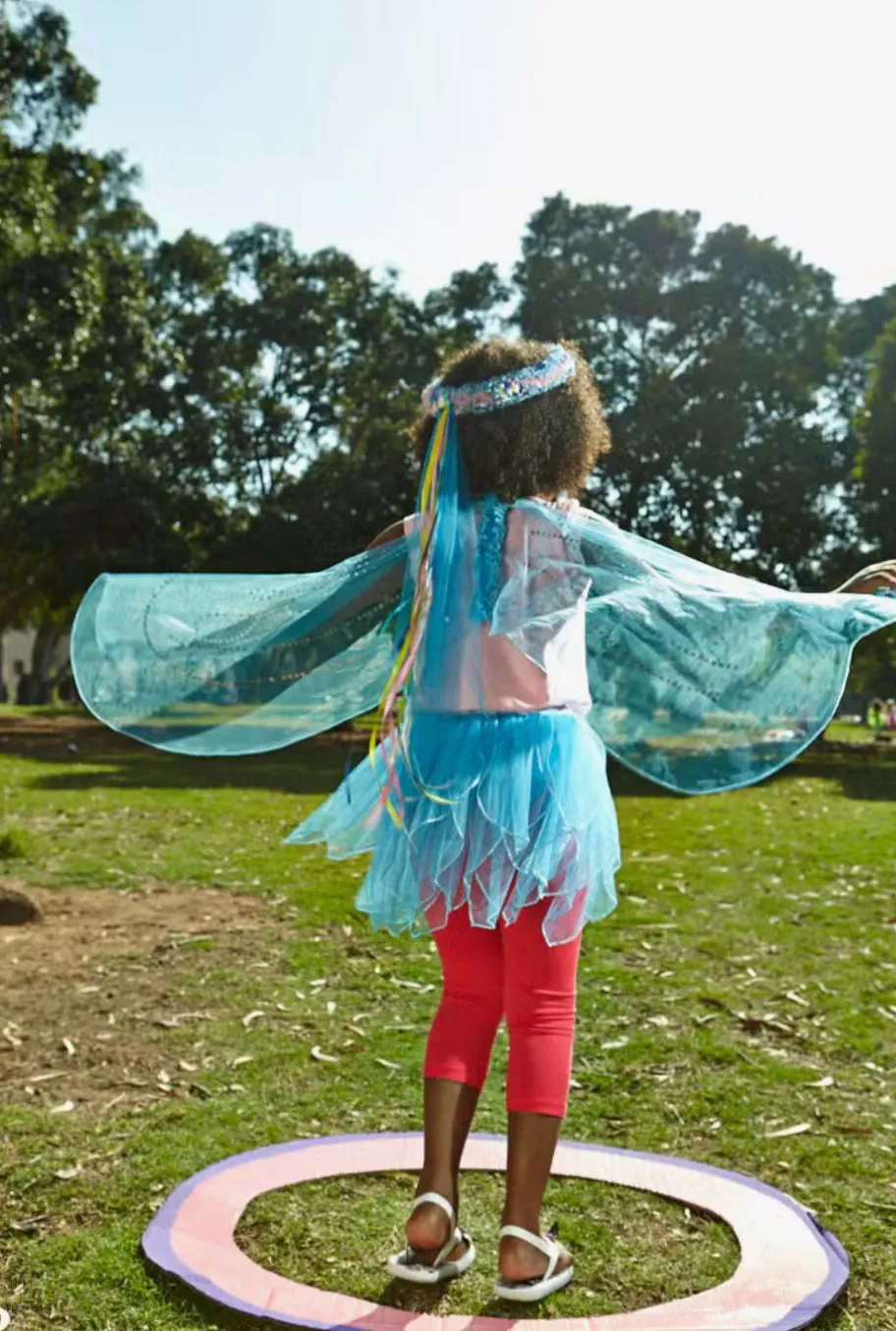 Turquoise Blue Fairy Tutu   Wings