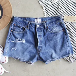 Vintage Cut-off Shorts